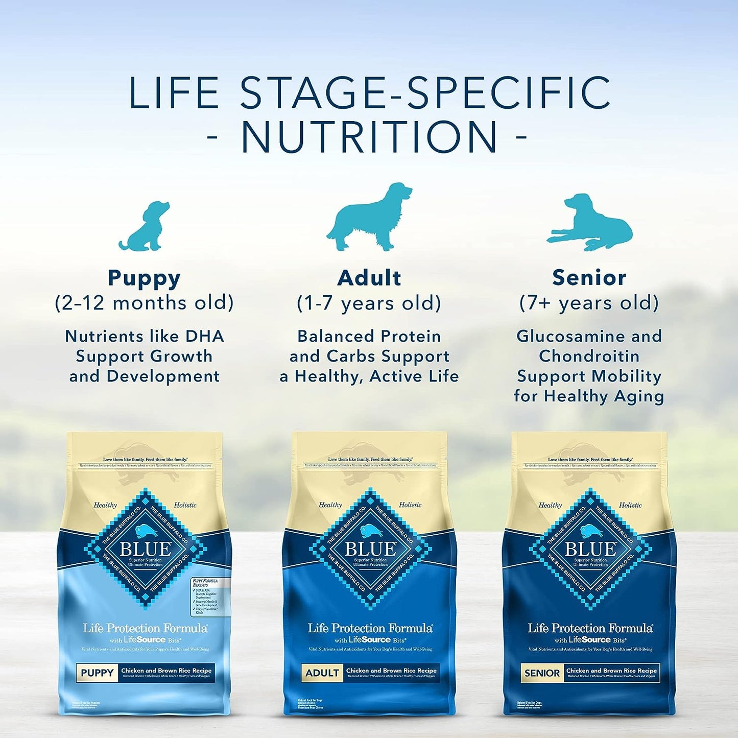 Blue Buffalo Life Protection Formula Natural Adult Dry Dog Food, Chicken & Brown Rice -  Dry Dog Food Blue Buffalo