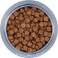 Royal Canin Breed Health Nutrition Dachshund Adult Dry Dog Food, 10 LB -  Dry Dog Food Royal Canin