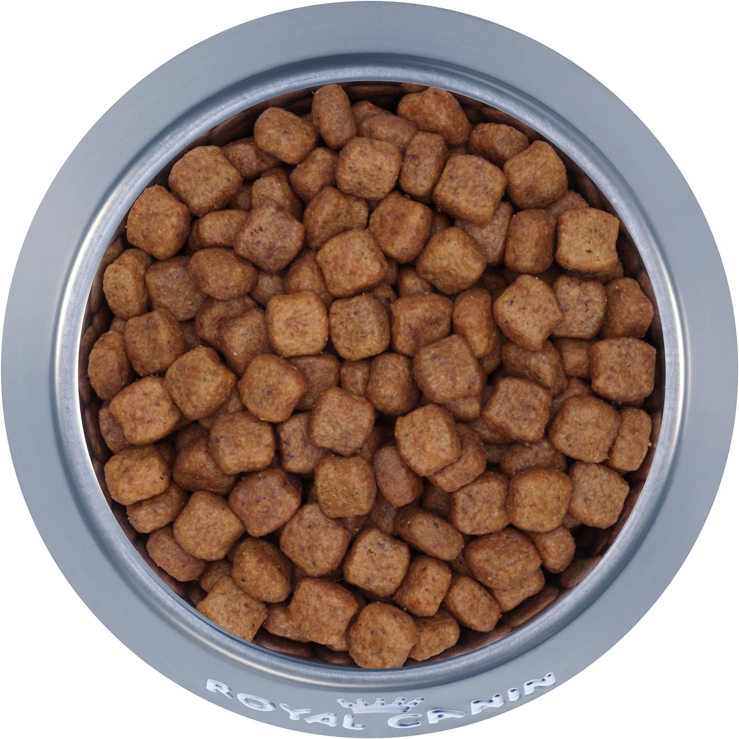 Royal Canin Breed Health Nutrition Dachshund Adult Dry Dog Food, 10 LB -  Dry Dog Food Royal Canin