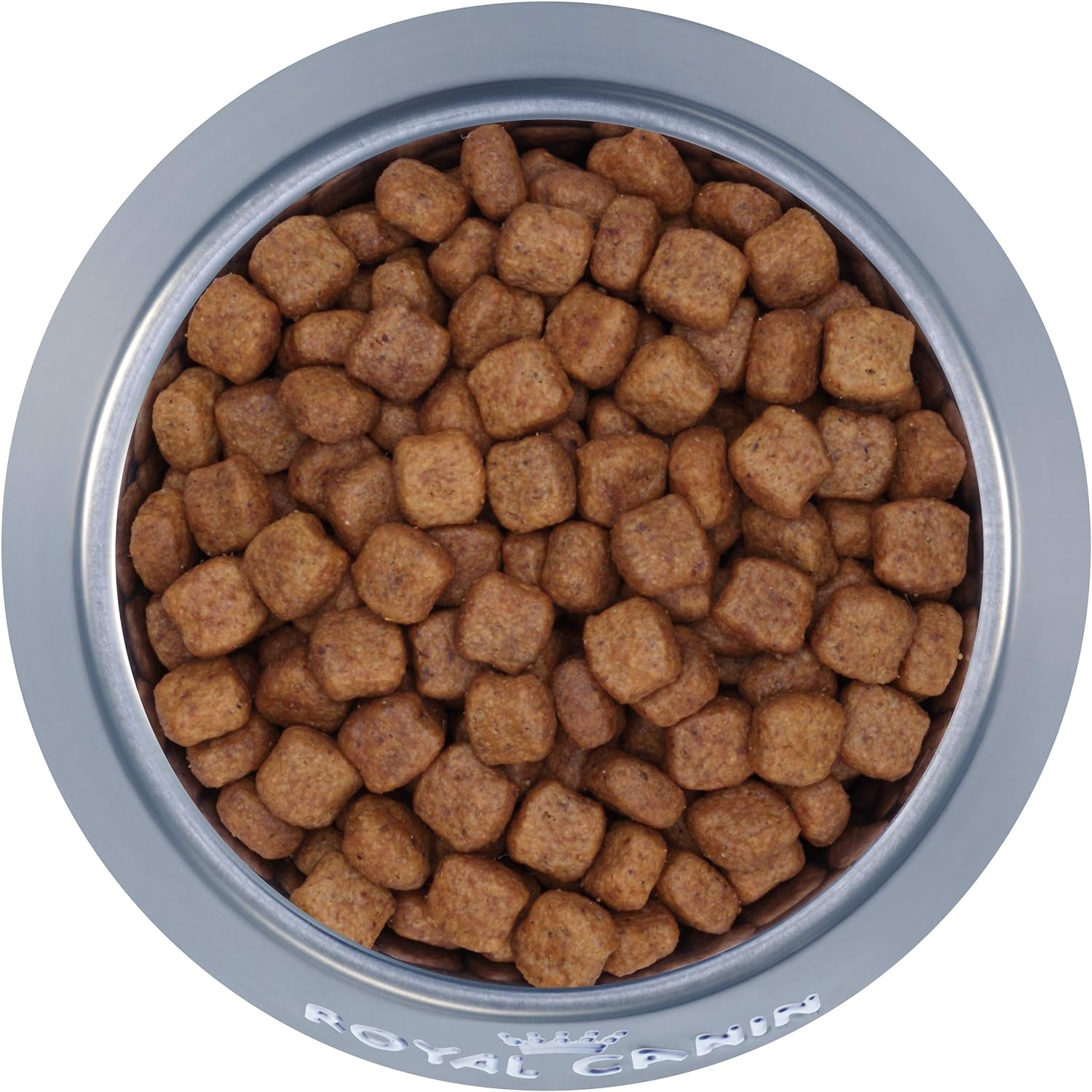 Royal Canin Breed Health Nutrition Dachshund Adult Dry Dog Food, 10 LB -  Dry Dog Food Royal Canin