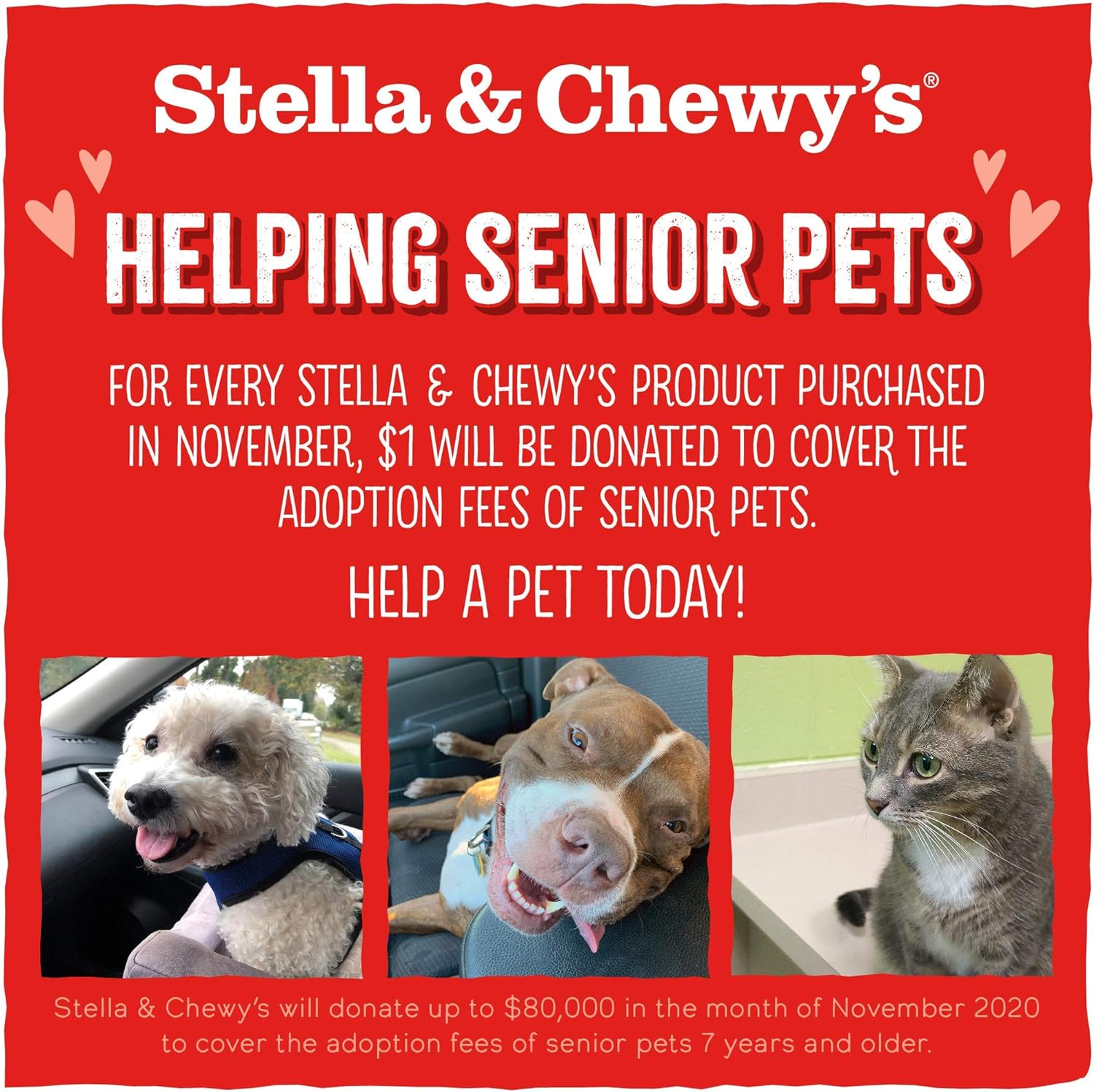 Stella & Chewy's Freeze Dried Raw Super Beef Meal Mixer High Protein Dry Dog Food Topper -  Dry Dog Food Stella & Chewy's