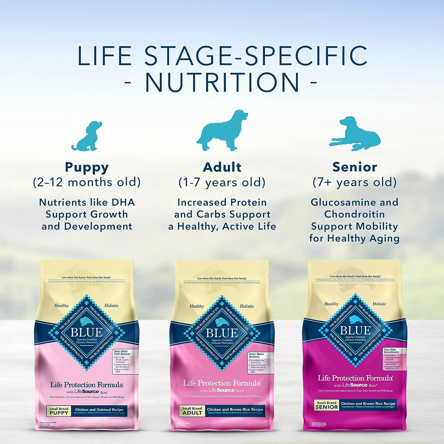 Blue Buffalo Senior Small Breed Dry Dog Food, Life Protection Formula, Natural Chicken & Brown Rice Flavor -  Dry Dog Food Blue Buffalo