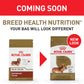 Royal Canin Breed Health Nutrition Dachshund Adult Dry Dog Food, 10 LB -  Dry Dog Food Royal Canin