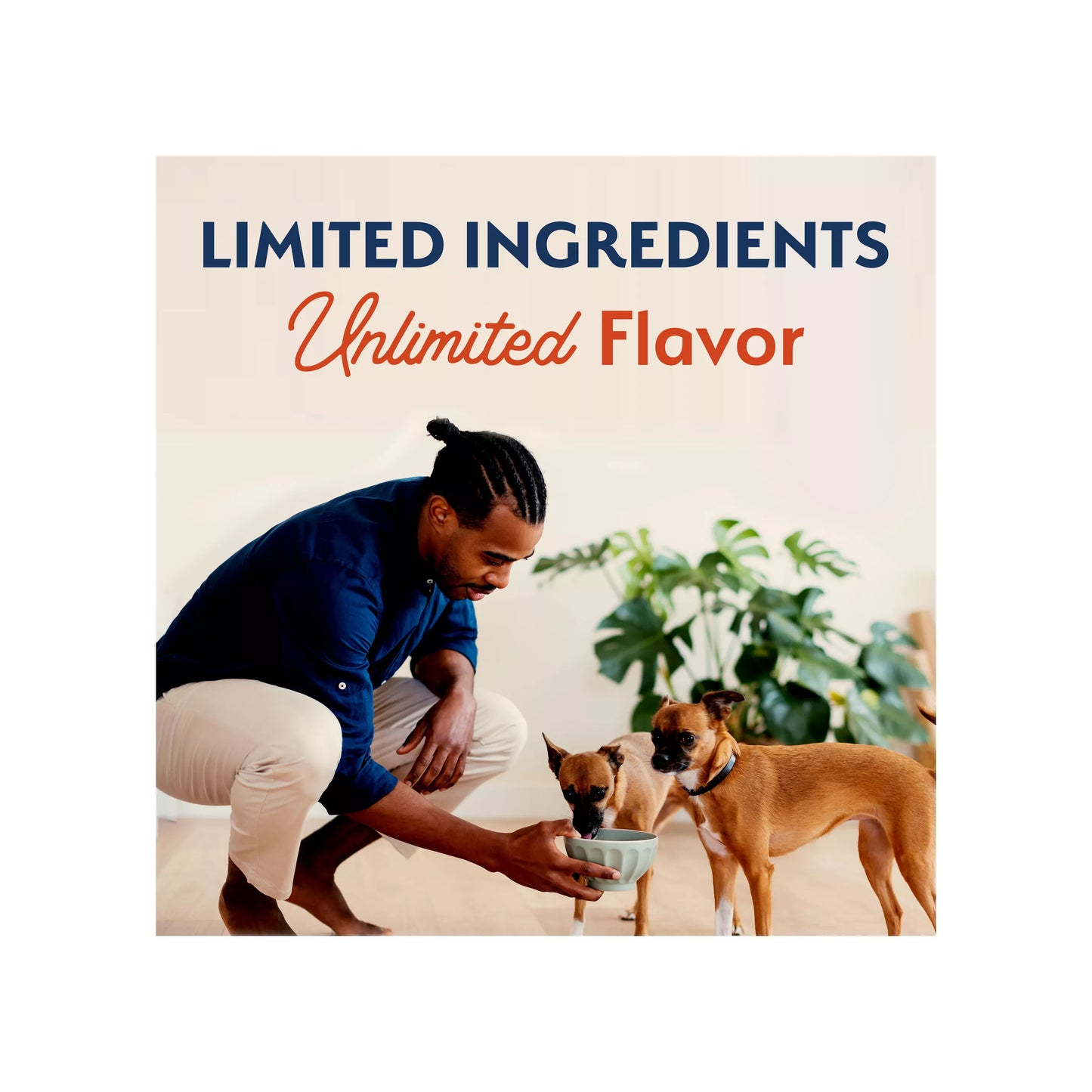 Natural Balance Limited Ingredient Small Breed Adult Dry Dog Food - Salmon & Sweet Potato