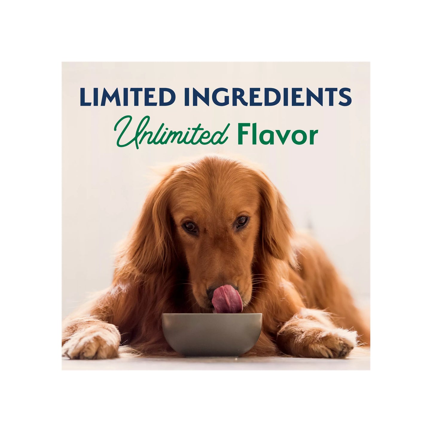 Natural Balance Limited Ingredient Diets Adult Dry Dog Food - Lamb & Brown Rice