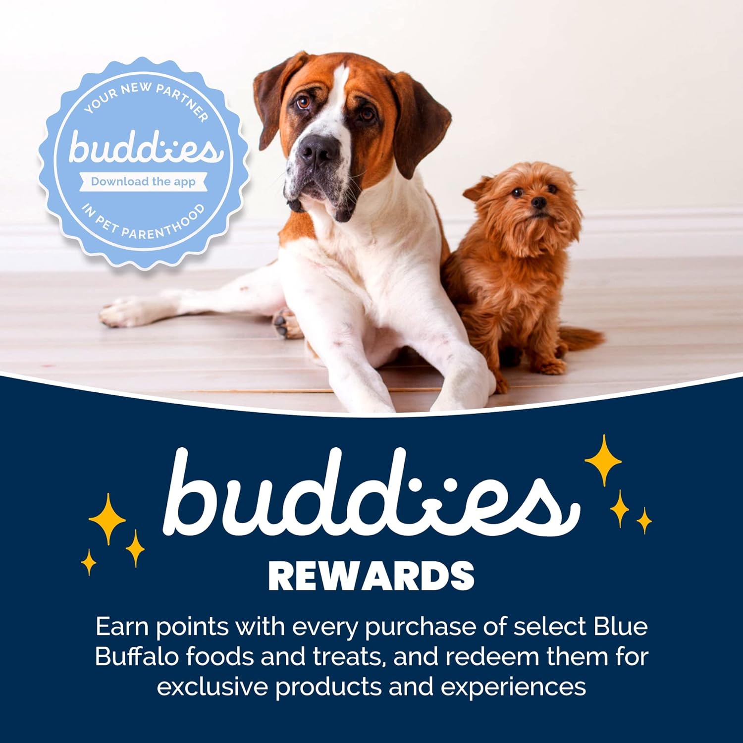 Blue Buffalo Blue Life Protection Formula Natural Adult Beef and Brown Rice Dry Dog Food -  Dry Dog Food Blue Buffalo