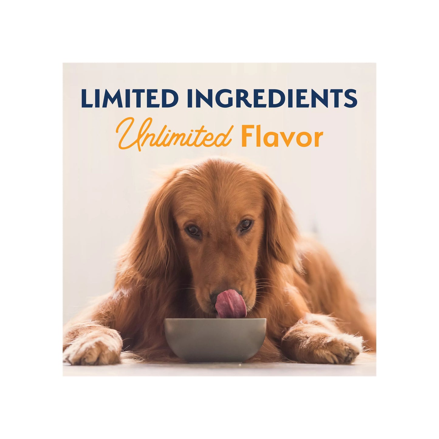 Natural Balance Limited Ingredient Diets Adult Dry Dog Food - Duck & Potato