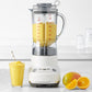Breville Fresh and Furious Blender, Silver, BBL620SIL