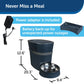 PetSafe Smart Feed, Electronic Pet Feeder for Cats & Dogs, 6L/24 Cup Capacity -  Automatic Feeder PetSafe