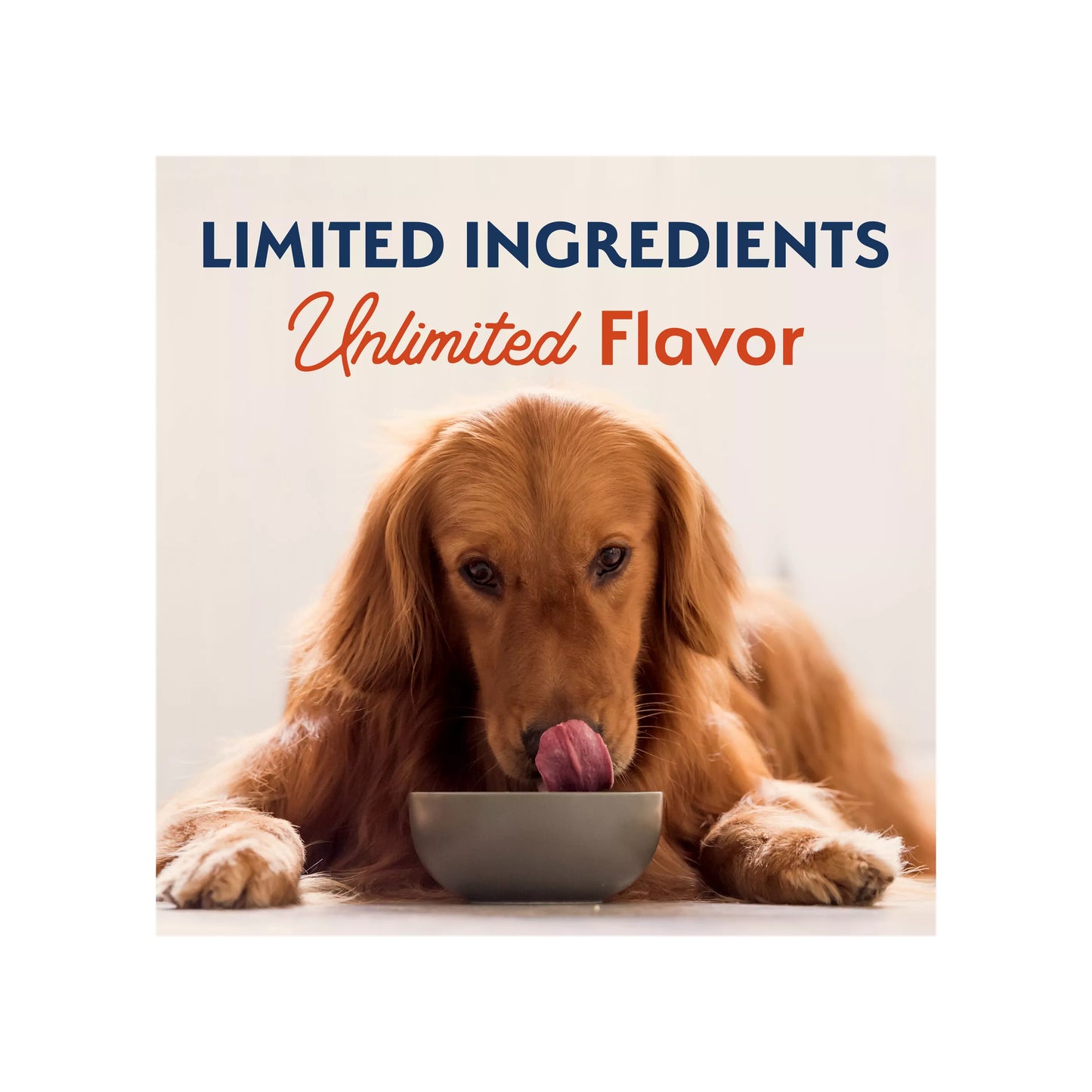 Natural Balance Limited Ingredient Diets Adult Dry Dog Food - Salmon & Sweet Potato