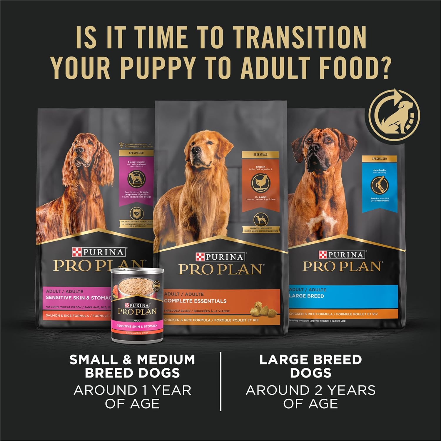 Purina Pro Plan Sensitive Skin & Stomach Lamb & Oat Meal Dry Puppy Food -  Dry Dog Food Purina Pro Plan