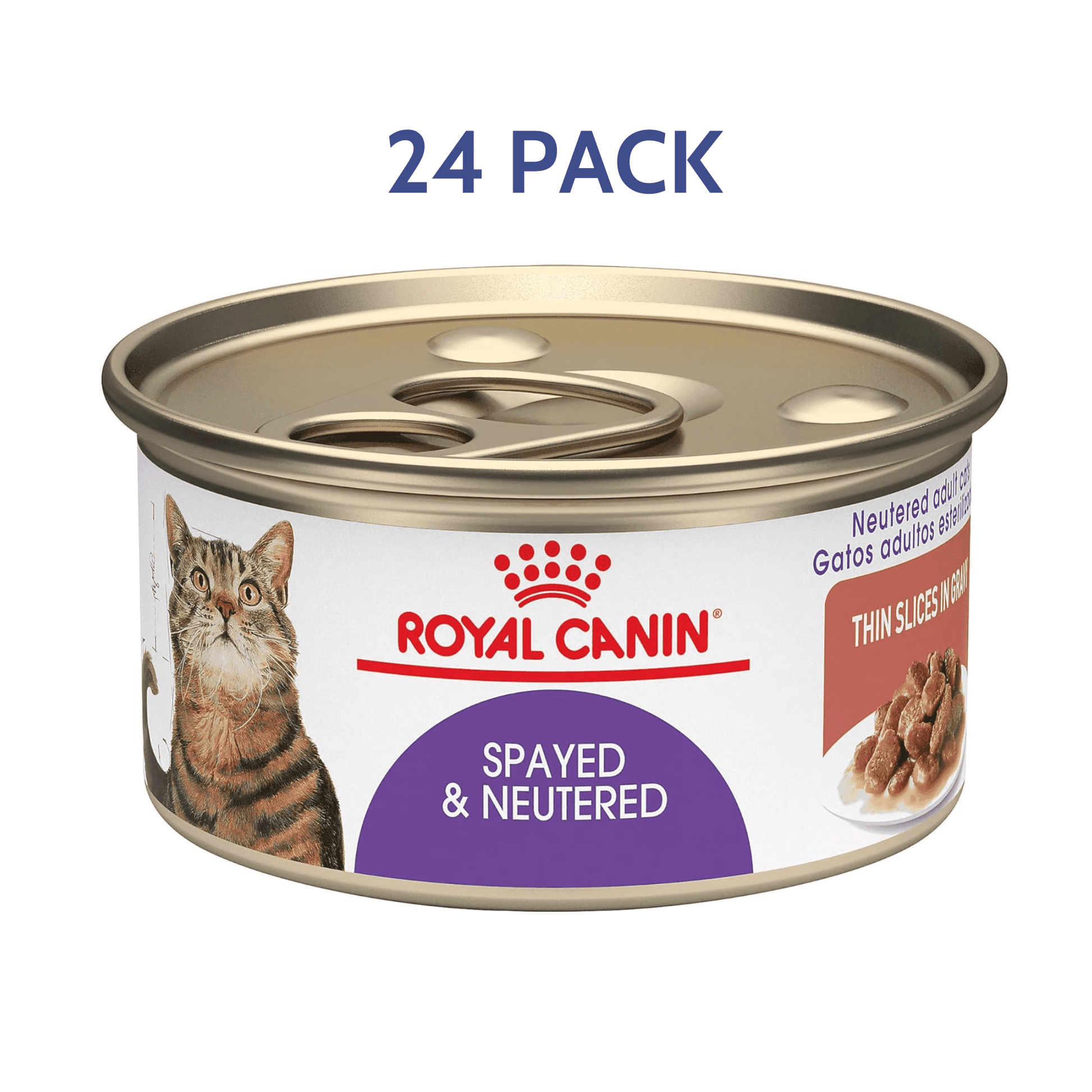 Royal Canin Feline Spayed/Neutered Thin Slices In Gravy Canned Cat Food -  Wet Cat Food Royal Canin