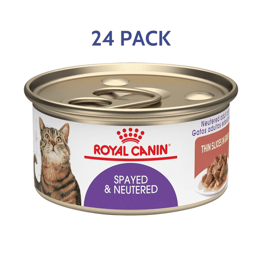 Royal Canin Feline Spayed/Neutered Thin Slices In Gravy Canned Cat Food -  Wet Cat Food Royal Canin