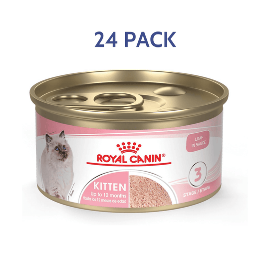 Royal Canin Feline Health Nutrition Kitten Loaf in Sauce Canned Cat Food -  Wet Cat Food Royal Canin