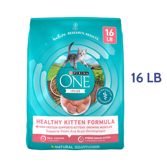 Purina ONE High Protein Natural Dry Kitten Food +Plus Healthy Kitten Formula -  Dry Cat Food Purina ONE