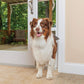 PetSafe 1-Piece Sliding Glass Pet Door for Dogs & Cats - Adjustable Height -  Dog Gates & Pens PetSafe