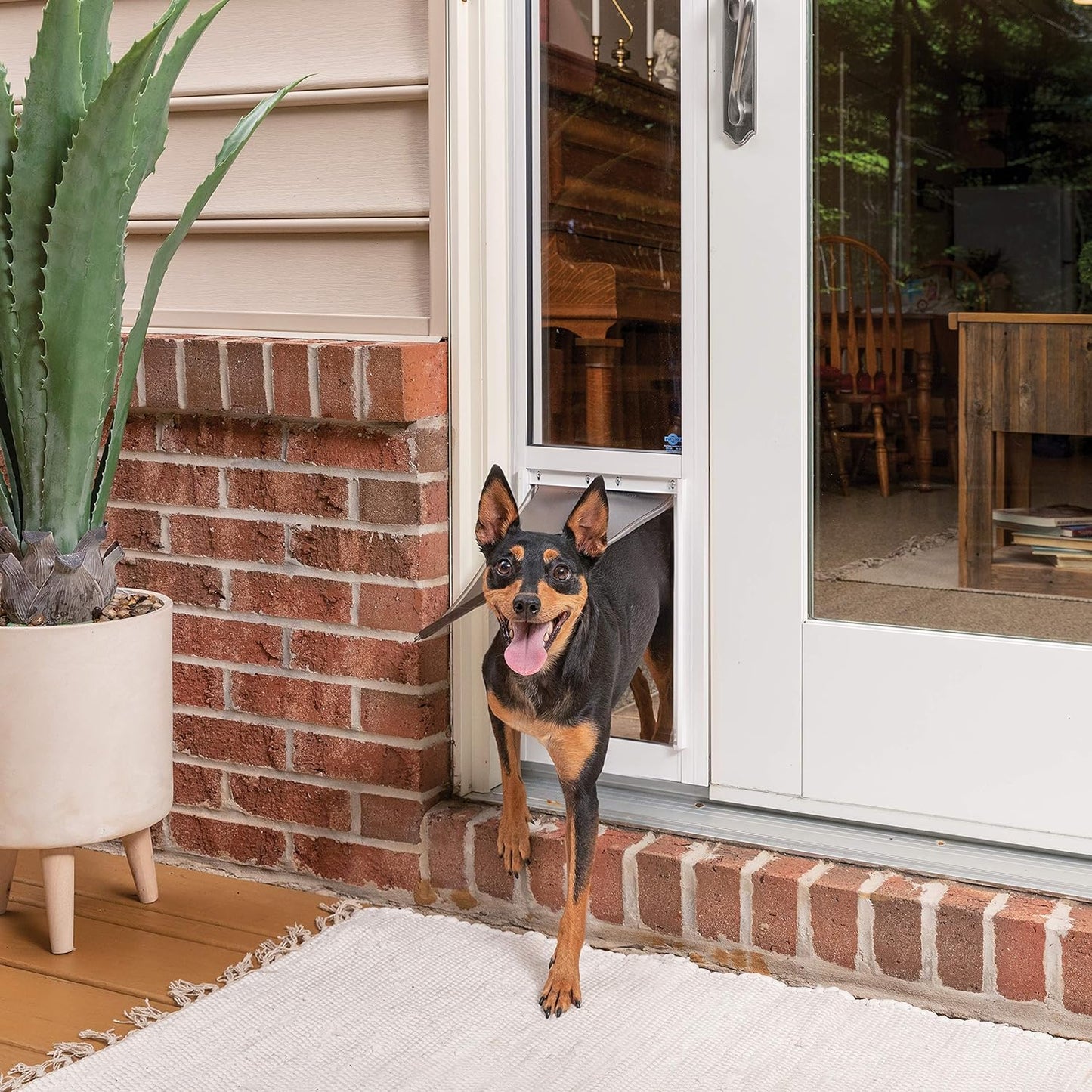 PetSafe 2-Piece Fits Sliding Glass Pet Door 76" - 81" Cat and Dog Door